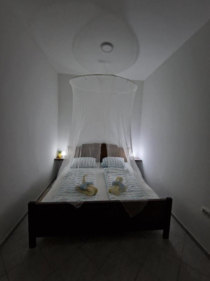 Apartmani Studio Apartmani Senjska Maslina Senj  Ngoại thất bức ảnh